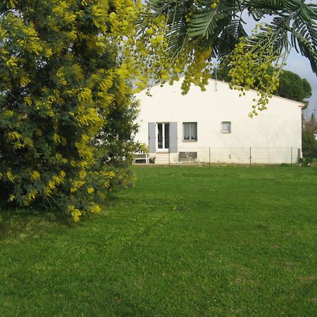 Apartmán Lumineux Agreable T2 De 32M2 La Londe-les-Maures Exteriér fotografie